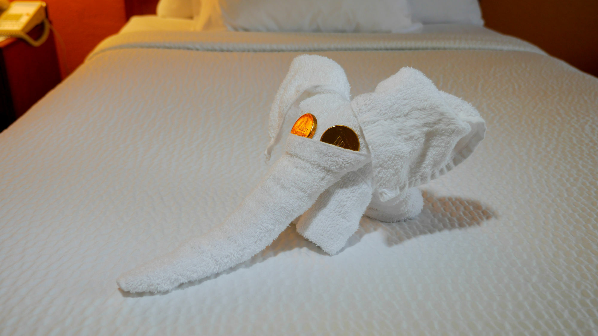 Quality Inn Fayetteville Near Fort Bragg Esterno foto